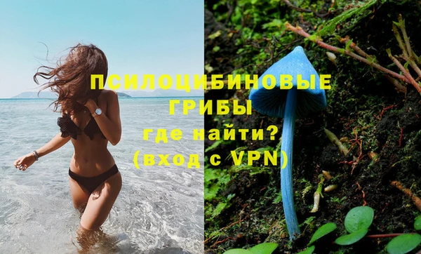 винт Абинск